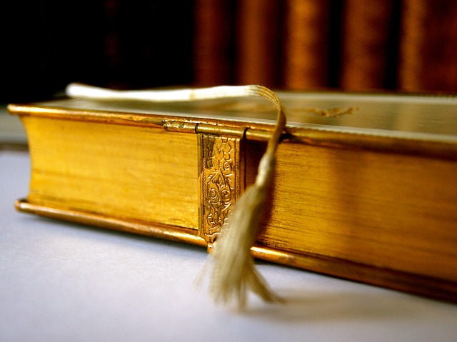 Using Bookmarks In Microsoft Search